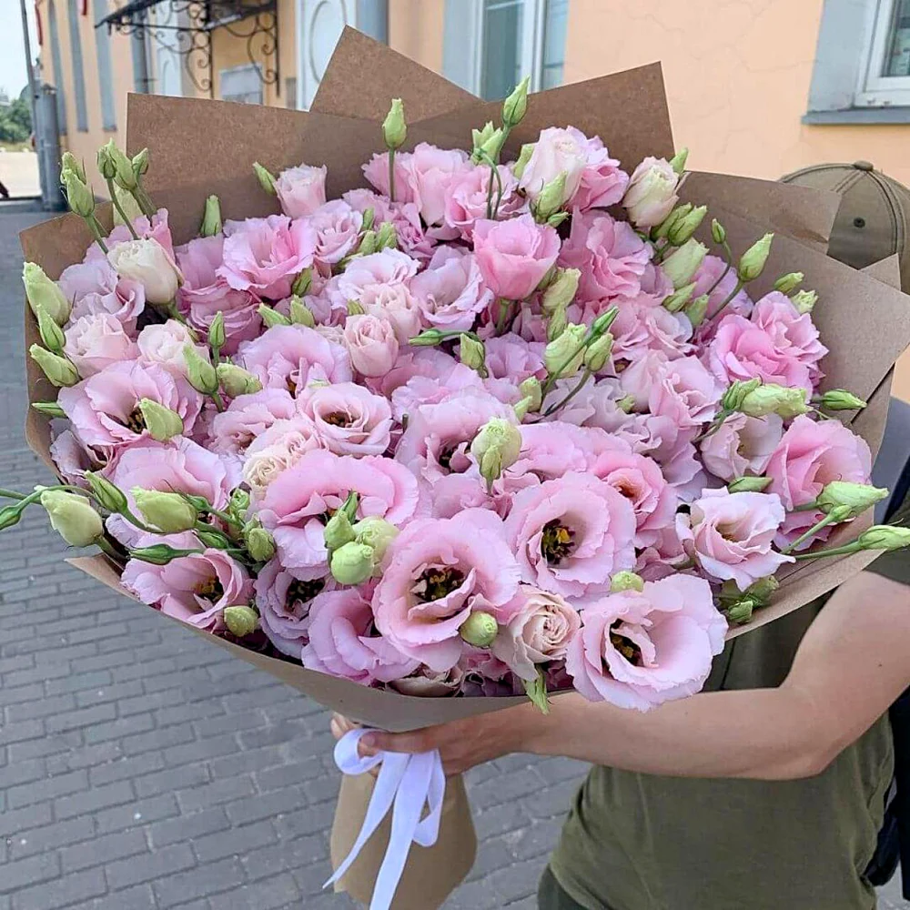 Розовые эустомы